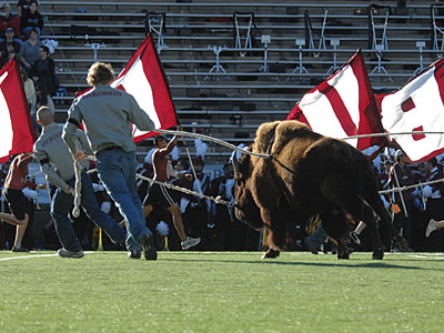 Two Herdsment leading Thunder on the field at Kimbrough Memorial Stadium